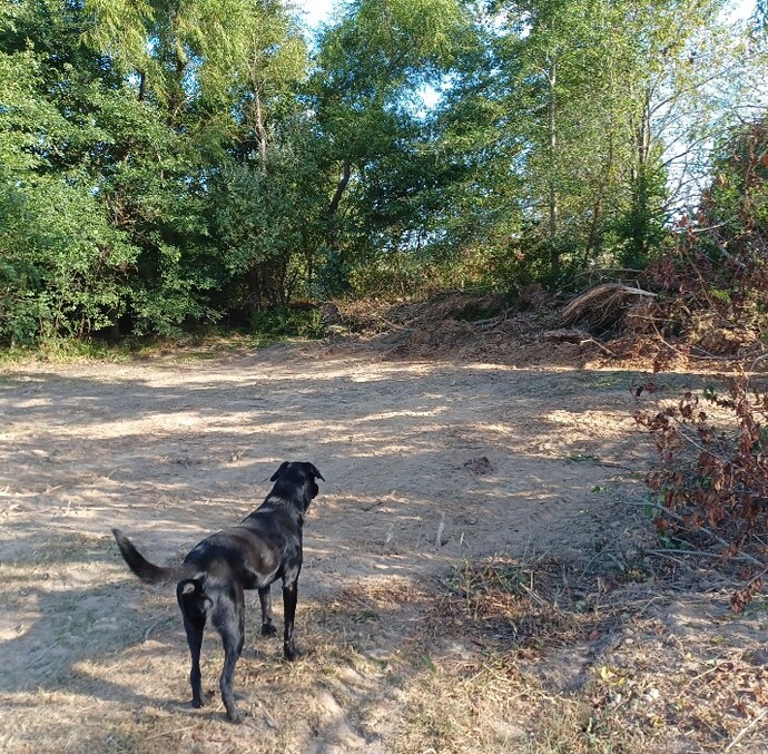 Screenshot_20250830_171541_Gallery