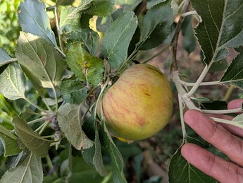 PXL_20250814_232556841