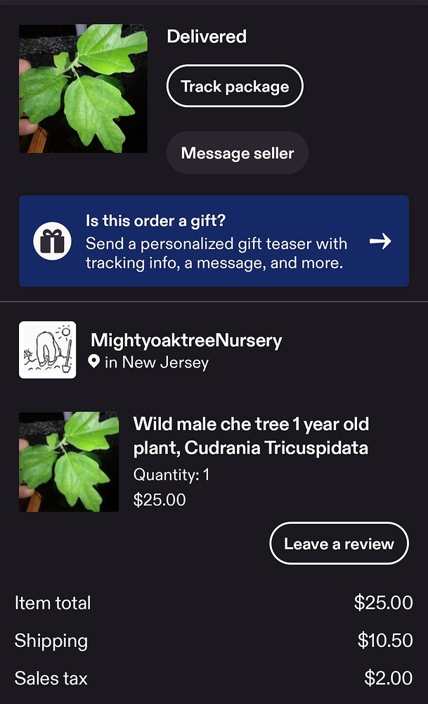 Screenshot_20260623_044331_Etsy