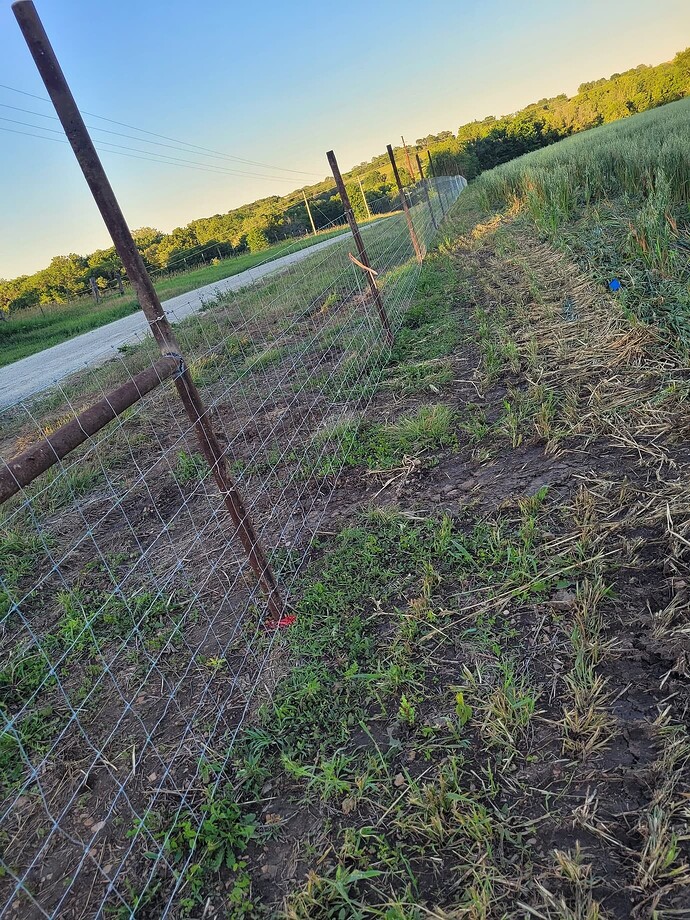 81c8d45948f4aa7bda2c8acd389ea143568294a0_2_1380x1840