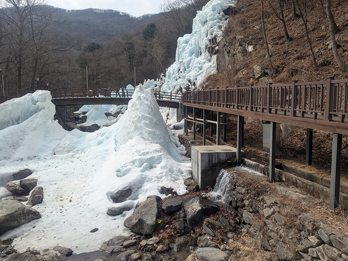 PXL_20260301_024000645