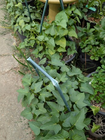 PXL_20250718_232057570