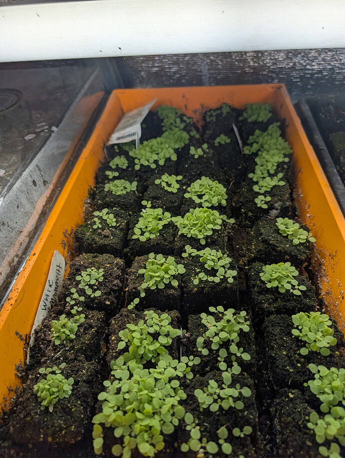 PXL_20260227_005102384