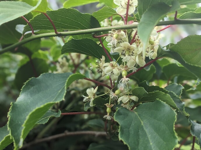 PXL_20250615_151915203.PORTRAIT