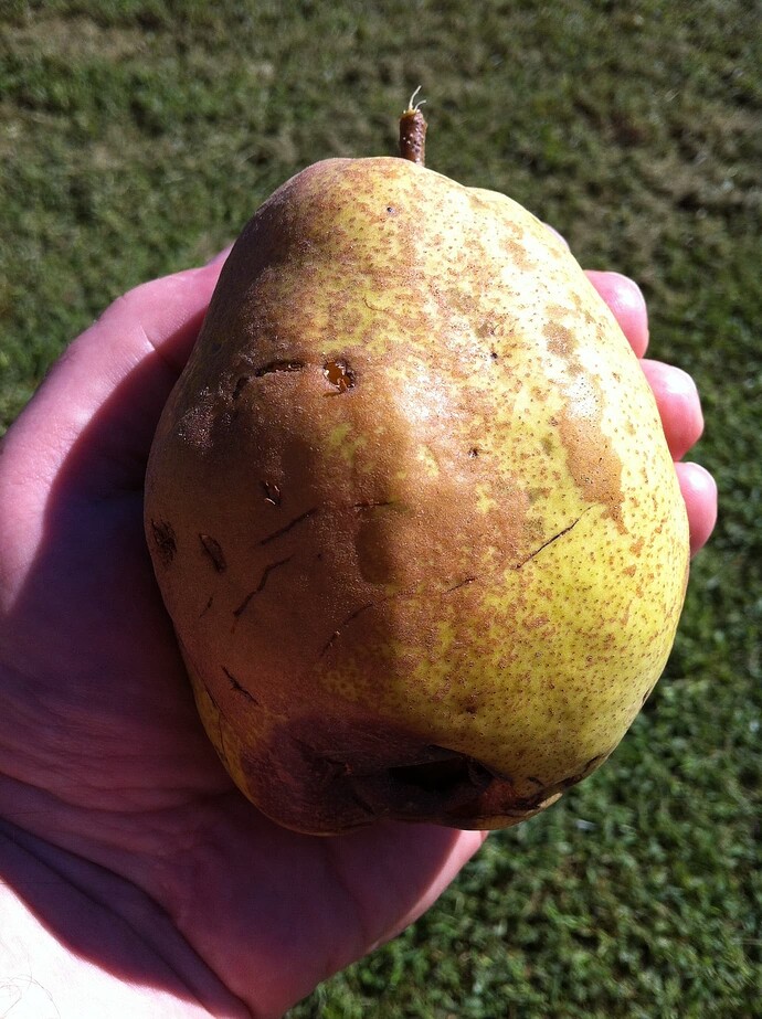 4dbcd935f9a23ec9eaf65554d444e9a002339a65_2_1380x1846