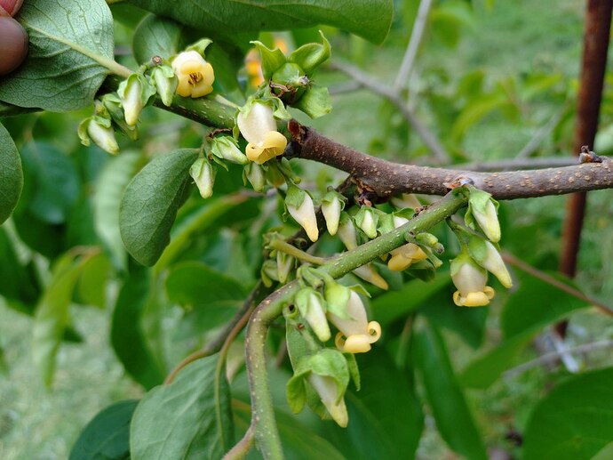 photo_2025-10-12_10-20-00