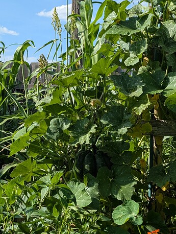 PXL_20250814_233546077