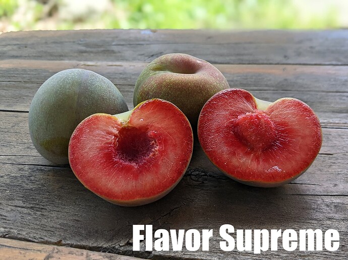 Flavor Supreme_2025