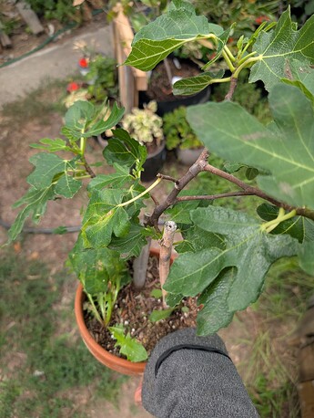 PXL_20250806_194814067