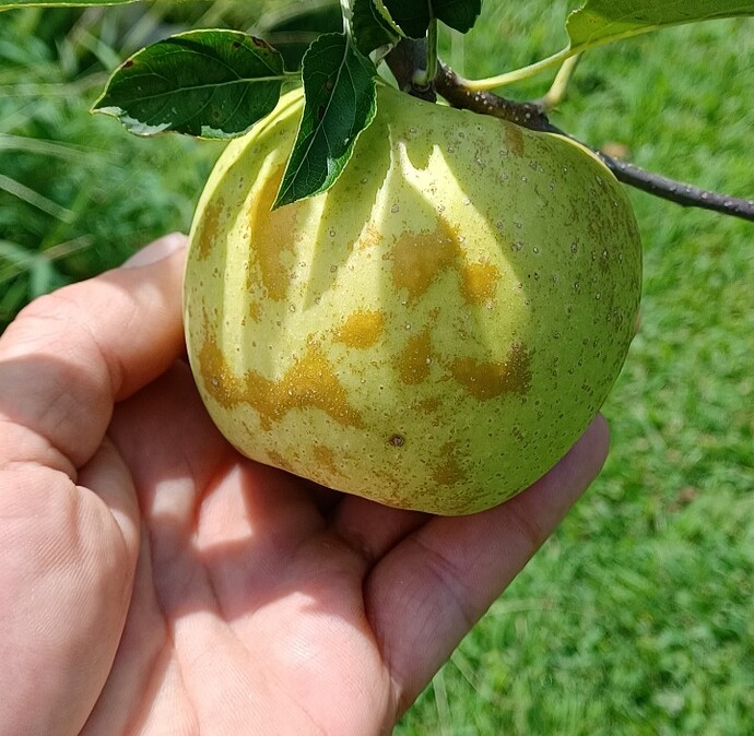 Screenshot_20250723_160136_Gallery