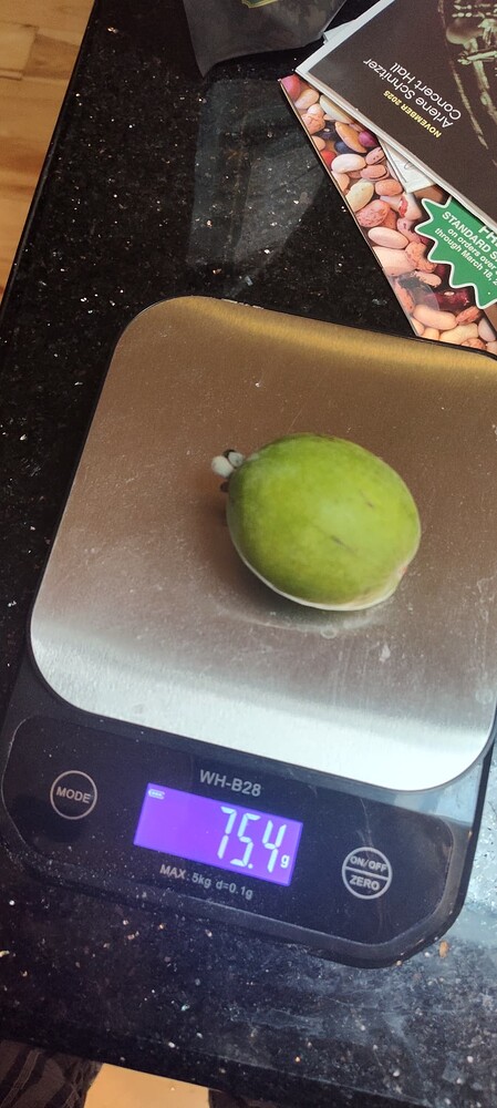 IMG_20251124_095001046_HDR