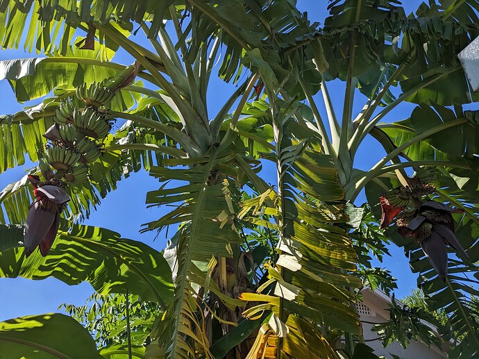 PXL_20251101_142625179