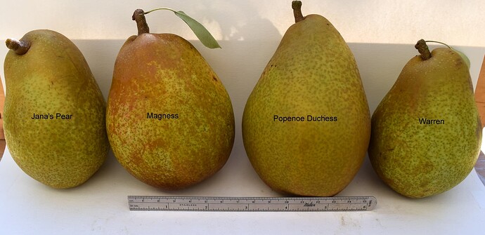 QuadradCompare.5-14-2025JPG