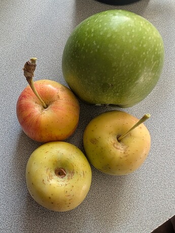 PXL_20250824_003602293