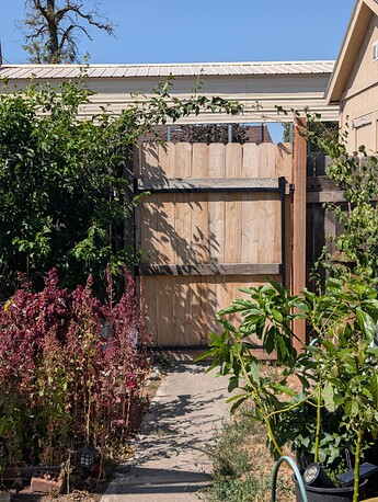 PXL_20250724_221429657