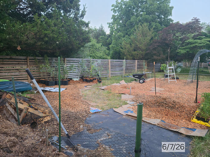 2026 06-07 Garden