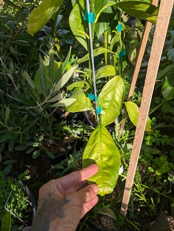 PXL_20250814_232658017