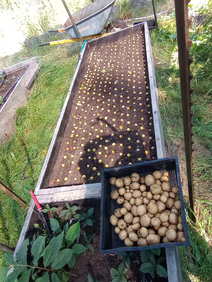 IMG_20250904_113431466