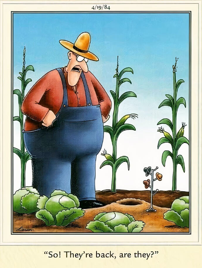 x 10-far-side-hats-10