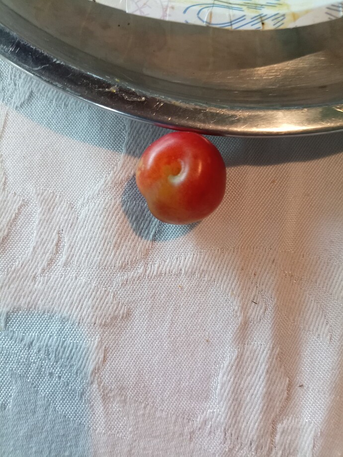 IMG_20250822_144638_3891