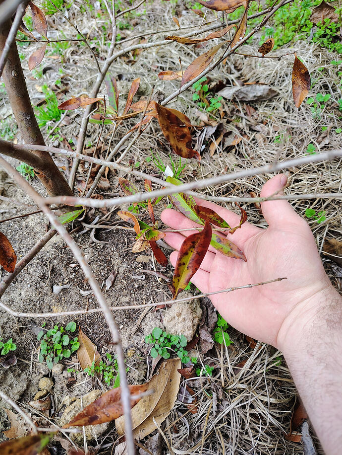 IMG_20260307_111034131_HDR_AE