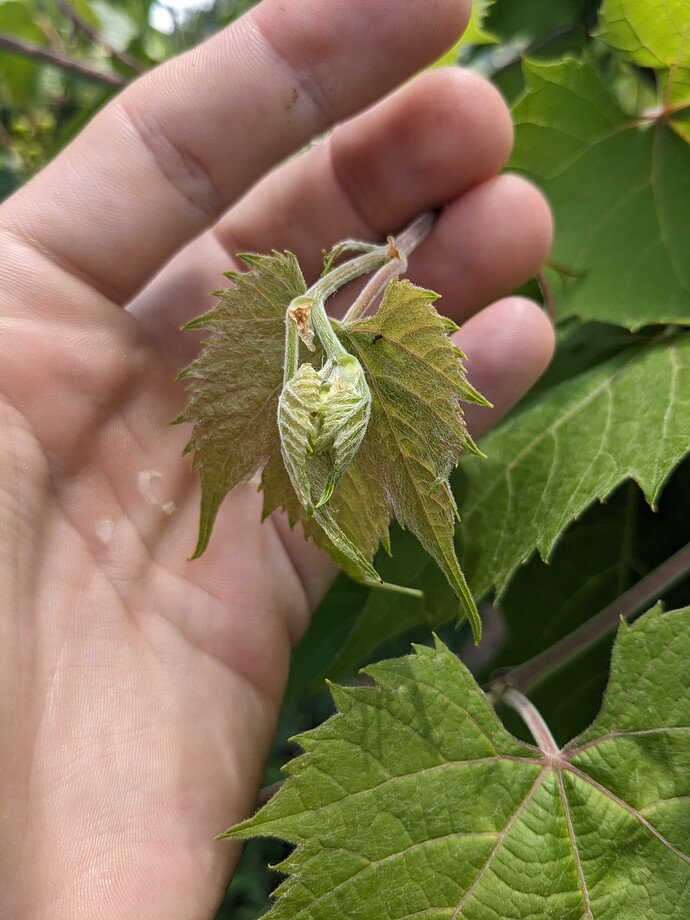 PXL_20250518_192122469