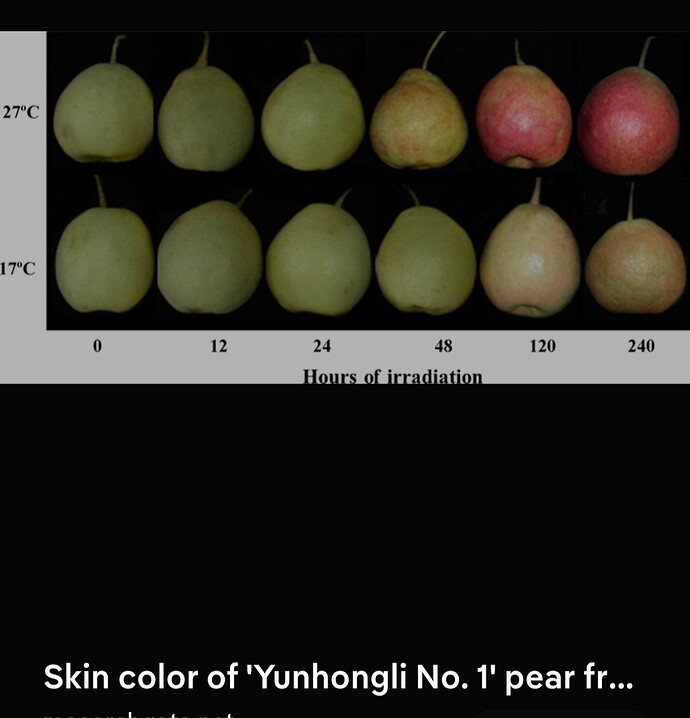 Screenshot_20260208_021306_Samsung Internet