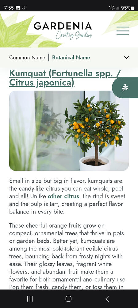 Screenshot_20260620_075552_Samsung Browser