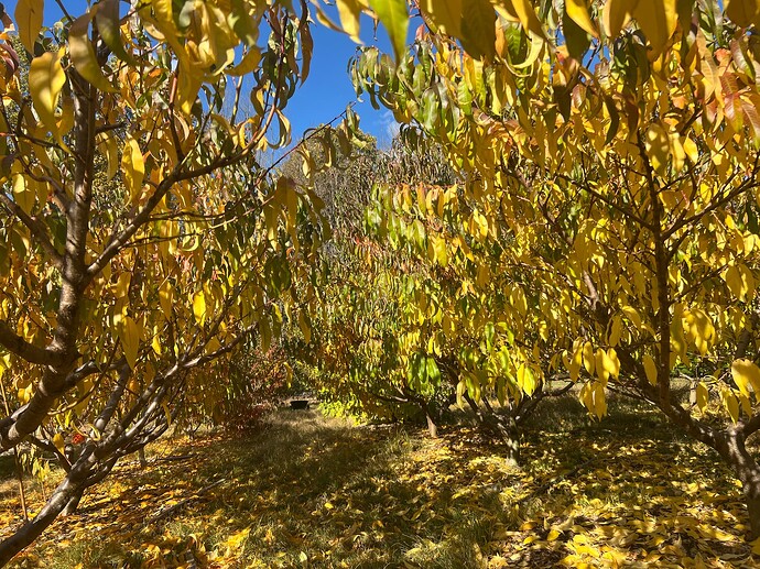 2025-10-26_14-27-45_655