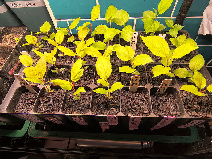 IMG_20260408_191901512_HDR