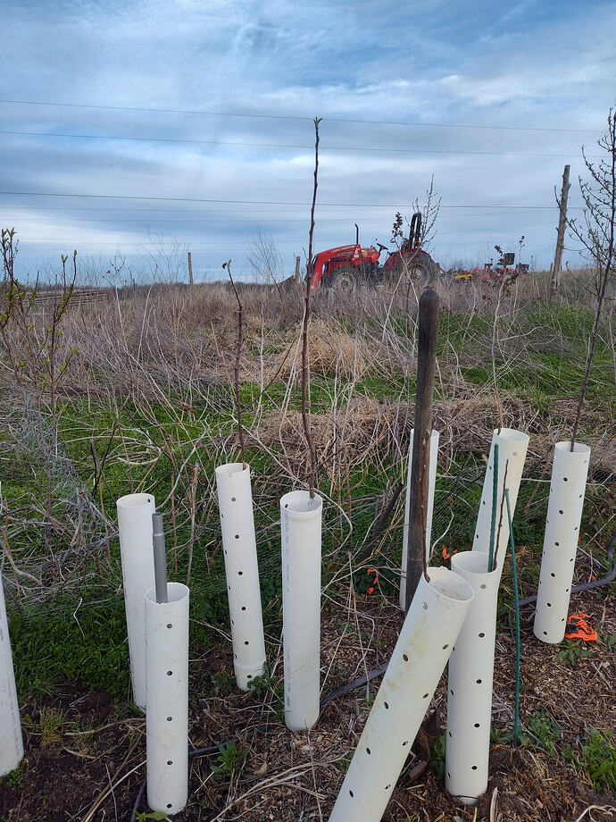 IMG_20260324_185542531_HDR