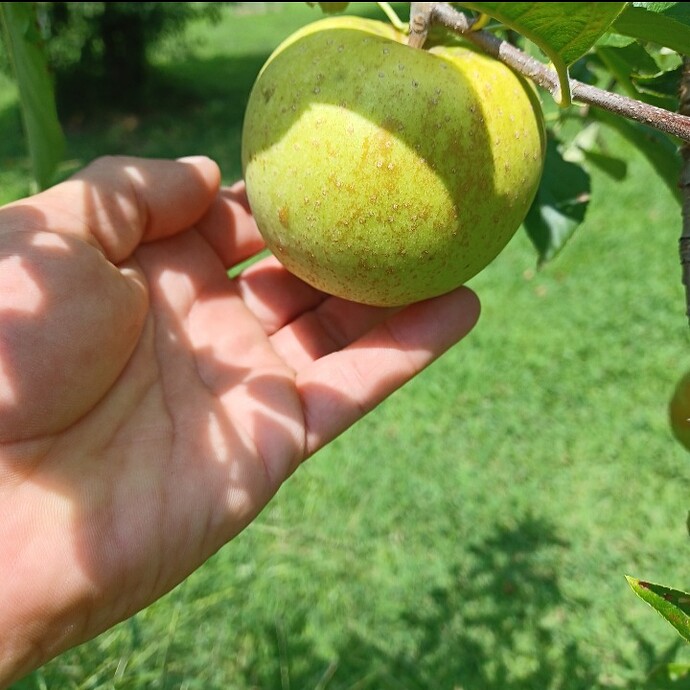 Screenshot_20250724_121539_Gallery