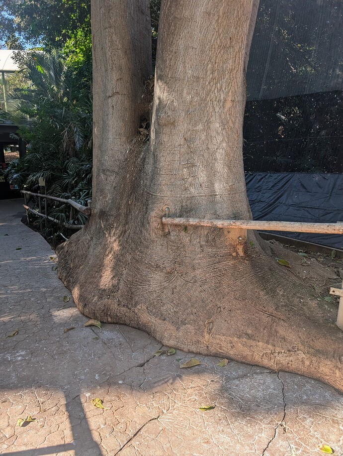 PXL_20251027_212137861