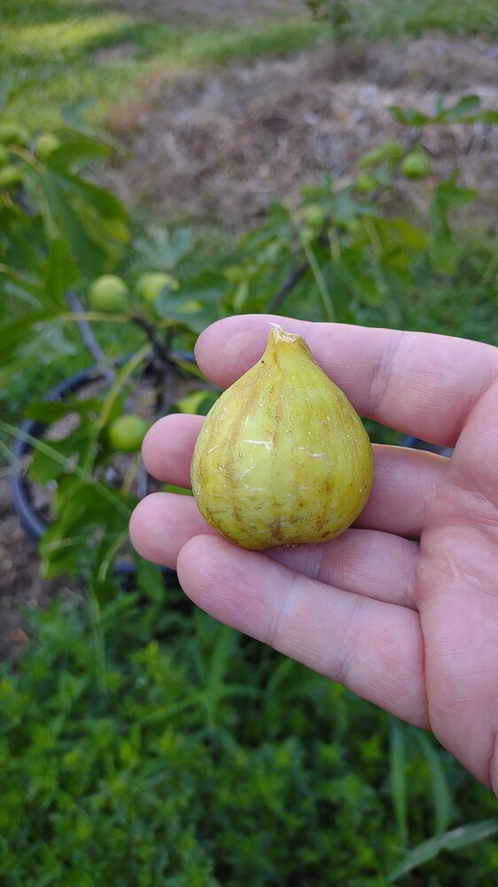 IMG_20250718_165234978