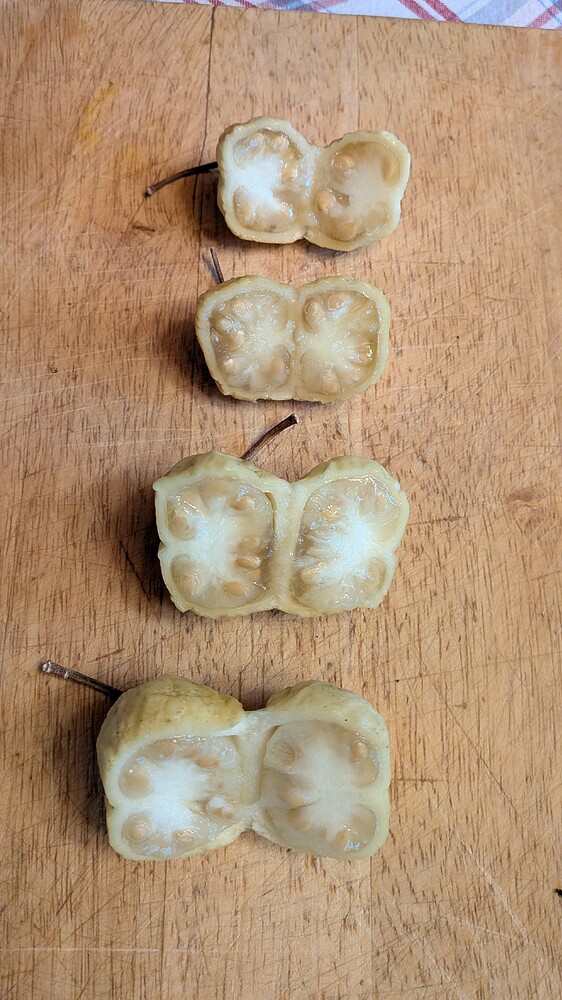Comparison of Fruits Cross Section From Plant A