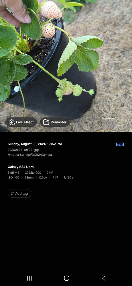 Screenshot_20260823_210545_Gallery