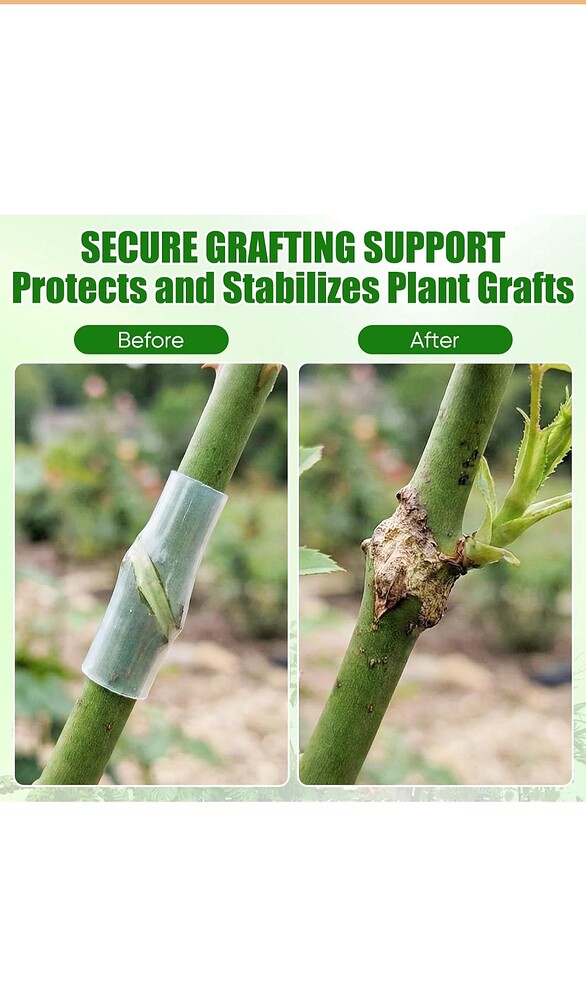 Screenshot_20260301_195107_Amazon Shopping