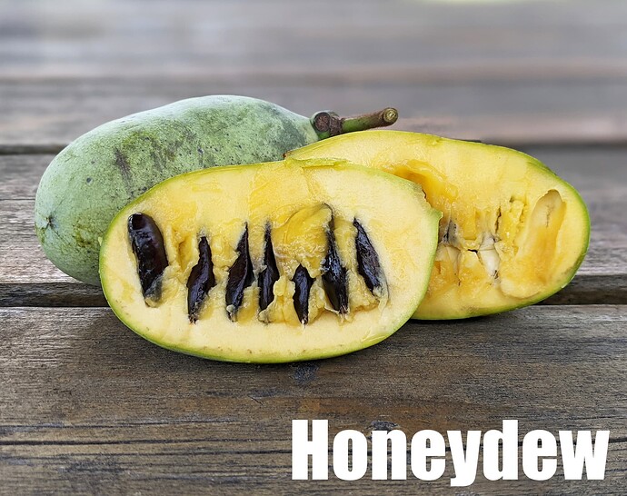 Honeydew Pawpaw_2025