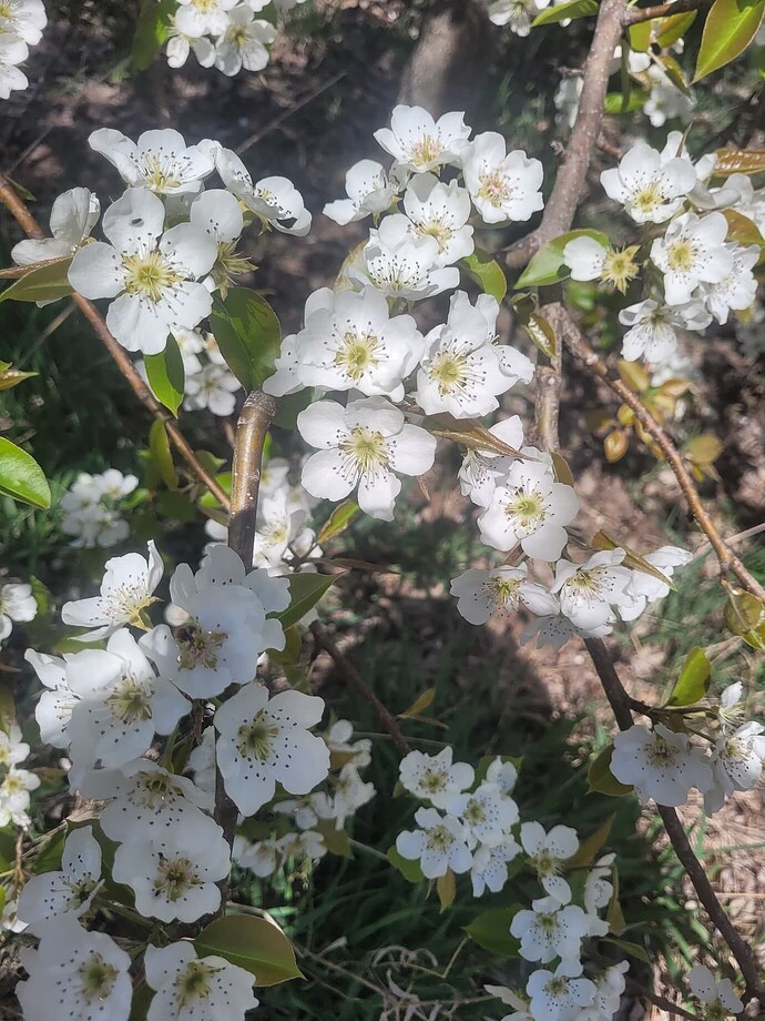 739228cddc804b097a4247c9226abdafd5321e4d_2_1380x1840