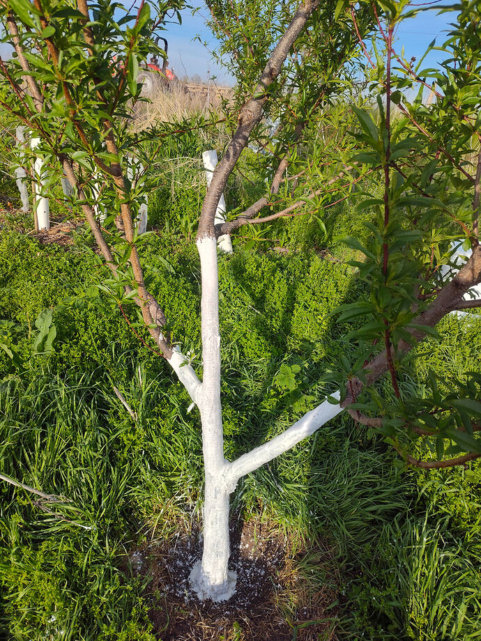 IMG_20260411_185057128_HDR