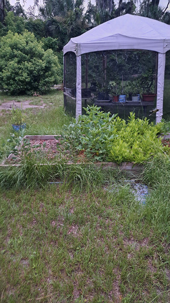 20250627_201901