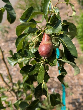 PXL_20250624_230252457