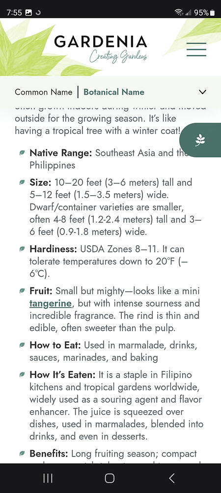 Screenshot_20260620_075543_Samsung Browser