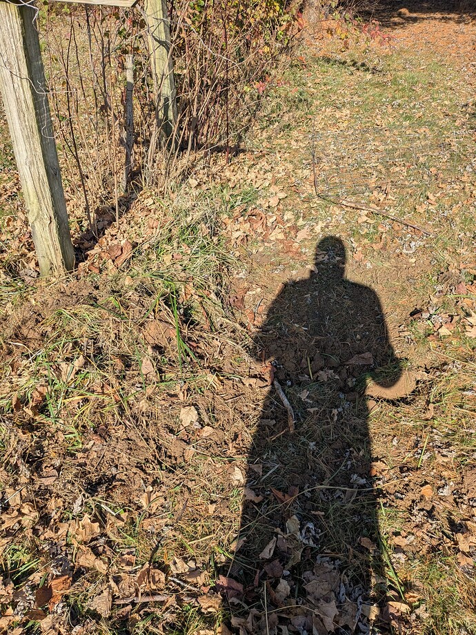 PXL_20251128_170607107