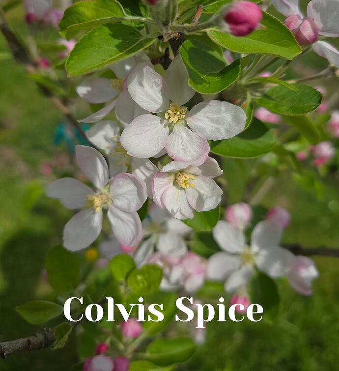 20260410_140152 (2026-04-11T13_45_41.518)