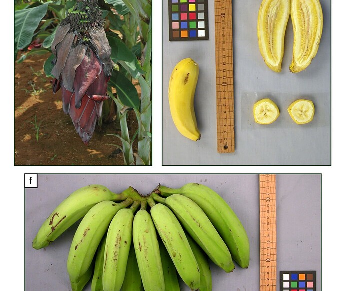 Screen Shot 2025-09-25 at 9.14.03 AM