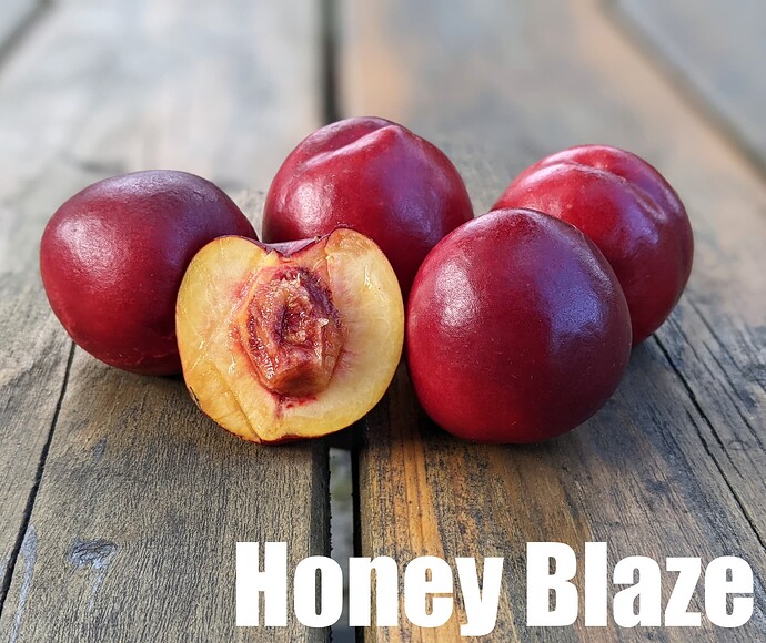Honey Blaze
