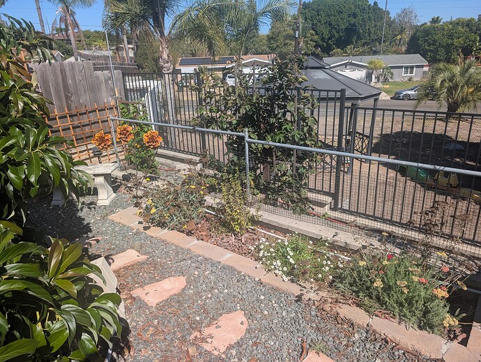 PXL_20251011_203216016