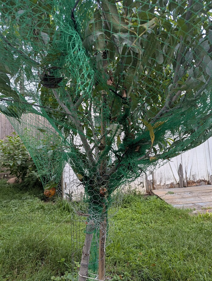 PXL_20250804_231422987