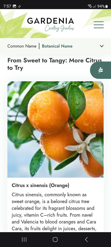 Screenshot_20260620_075750_Samsung Browser